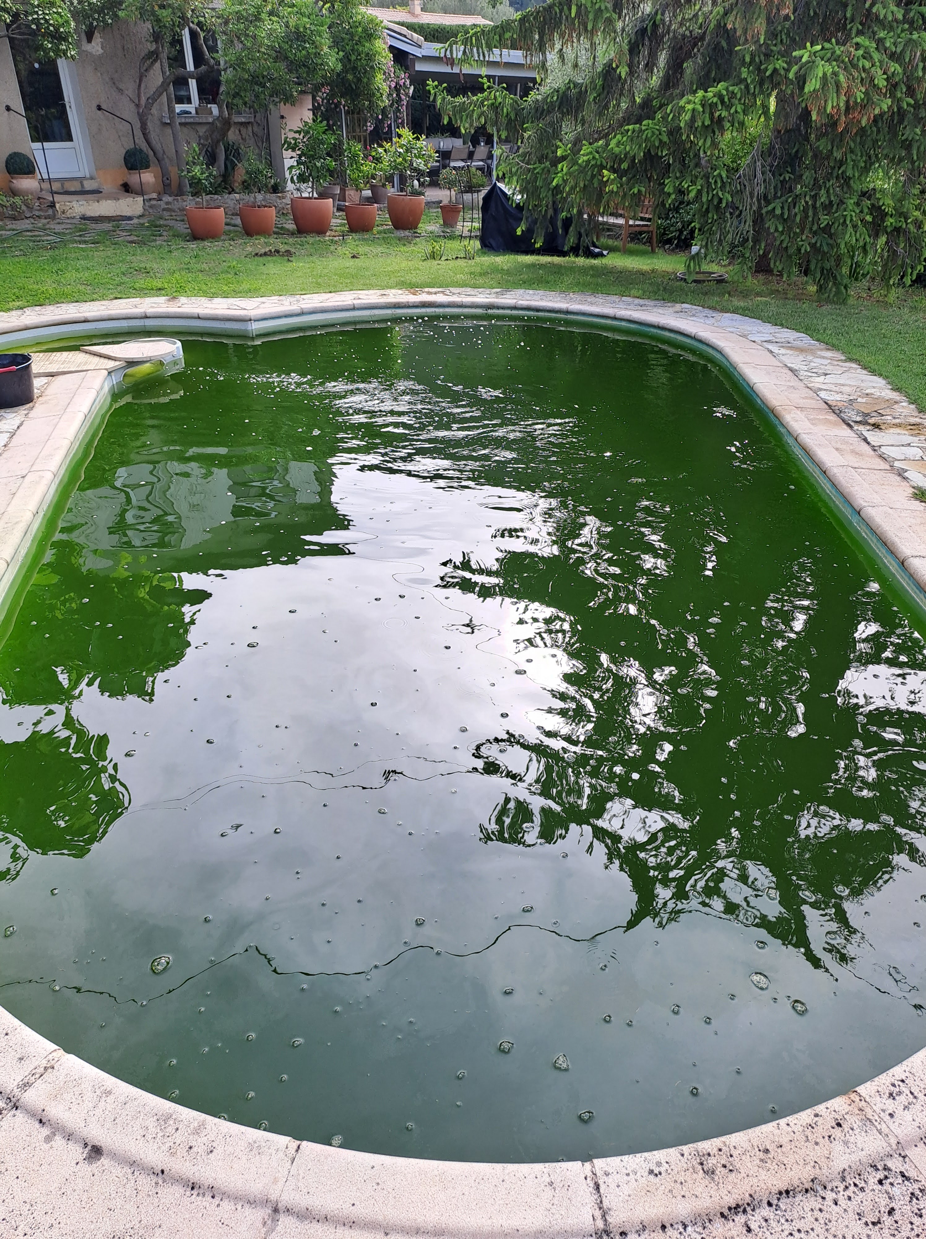 Bassin 3 — Avant : eau verte
