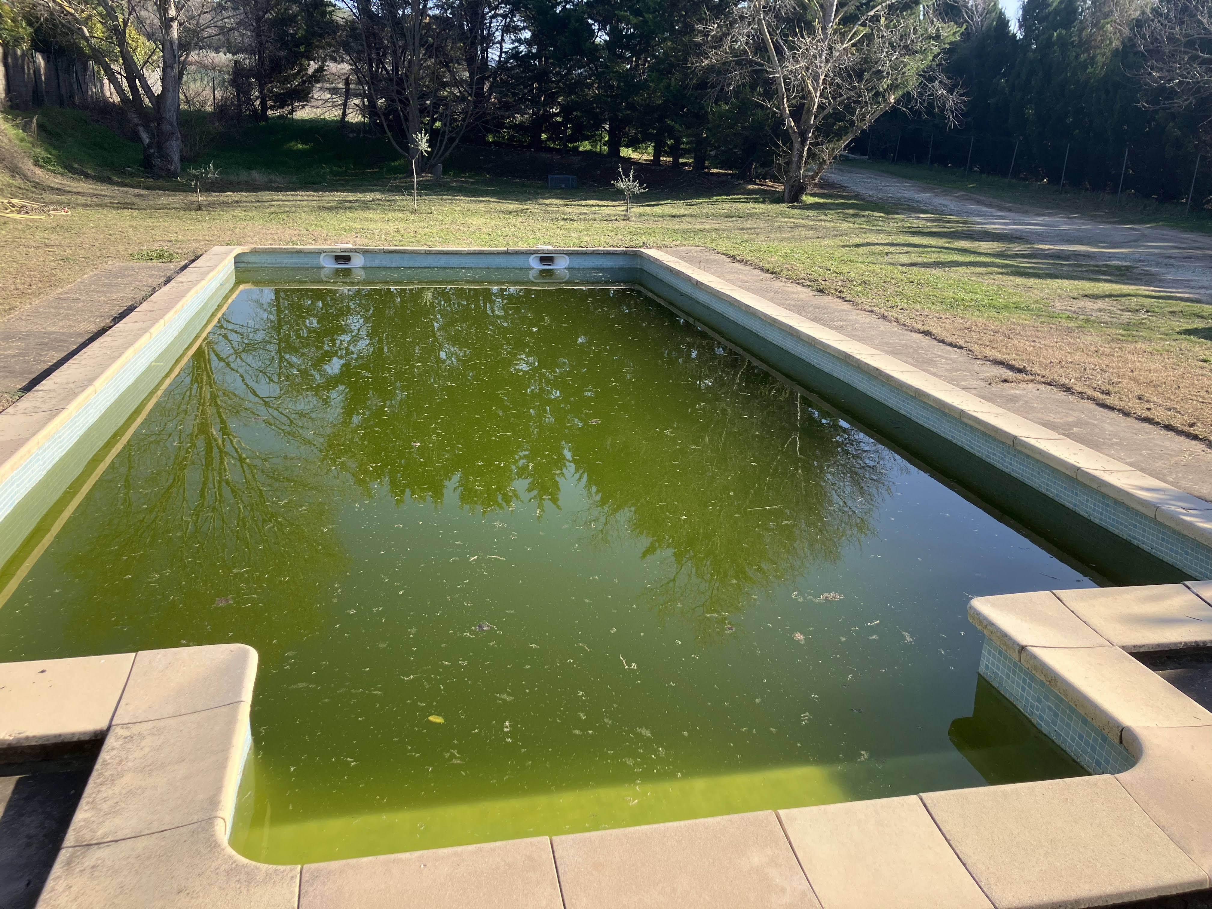 Bassin 2 — Avant : eau verte